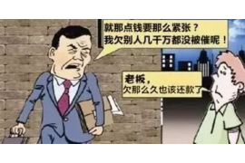 固安企业清欠服务